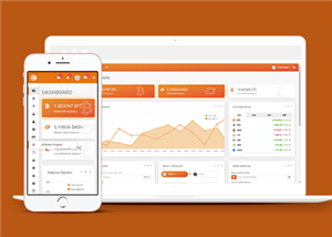 橙色比特币货币交易后台管理系统网站模板
