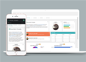 精美大气数据可视化后台管理网站模板