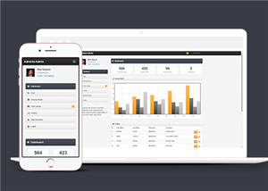 简洁数据统计表后台管理系统网站模板