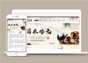 中国风水墨风格健康养生产品网站模板