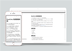 干净自适应文档内容管理系统网站模板