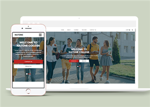 简约响应式高等学院教育网站静态模板