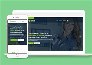 绿色响应式商业顾问咨询服务公司网站静态模板