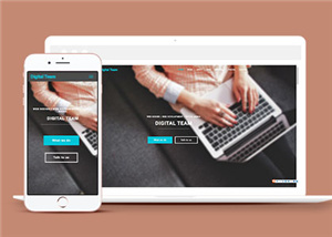 数字团队服务展示响应式网页模板下载